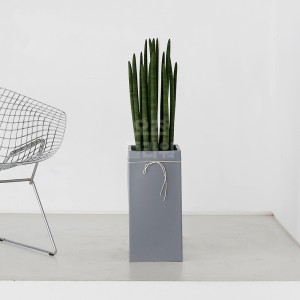 [B25]스투키(사각)